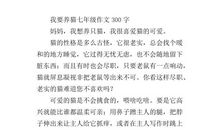 养猫谈 六年级养猫作文700字