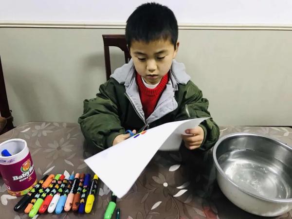小实验微作文 | ⑤ 水中花开 6