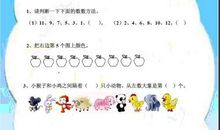 快乐小猪猪日记 一年级日记8则