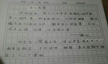 我曾经笑过 回忆往事作文300字