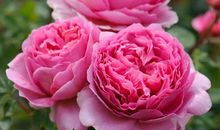 高考作文辅导16：抓住时机，打开成功之门