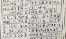 我的网瘾外婆 叙事写人的作文300字