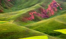 写景的作文：爱上夏天