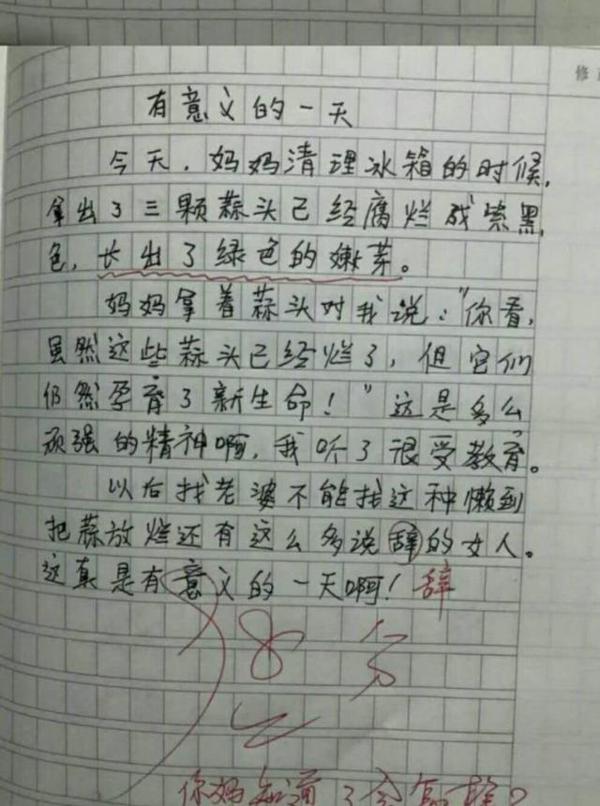 小学生“另类”作文走红网络,奇葩脑回路让人折服,真难为了老师 3