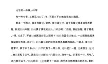 高三写景作文：游白桦园_900字