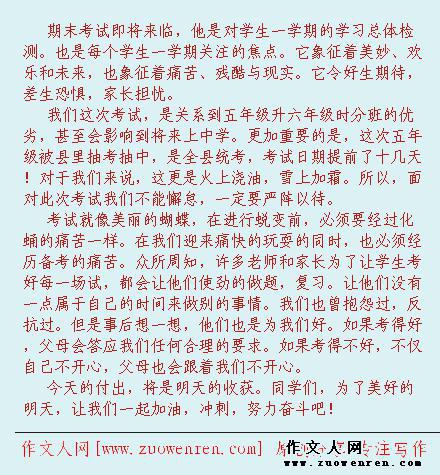 努力吧 写自己的经历作文500字