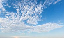 读后感：让我感动的故事