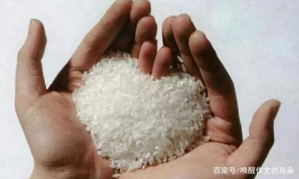 北京大学研究生一篇作文,可入选小学语文课本 9