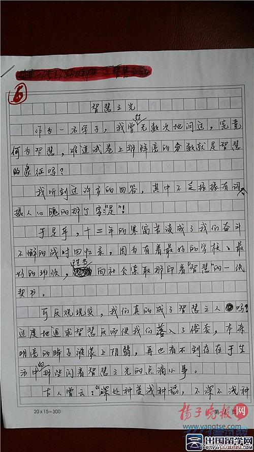 成绩真的有怎么重要吗的作文