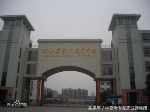 2009年湖北高考满分作文：《站在项脊轩的门口》_900字