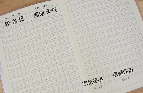 失败的奖品学生作文