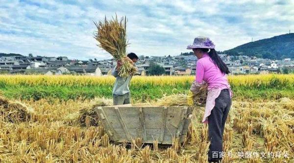 北京大学研究生一篇作文,可入选小学语文课本 10