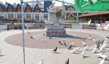 五年级学生作文：鸽子窝公园