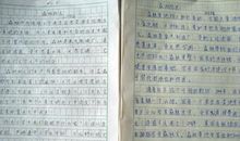 庇护森林作文550字