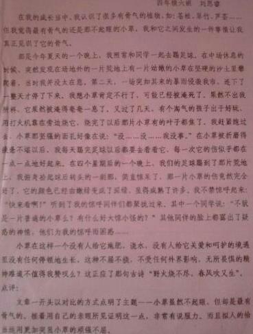 草 顽强的小草作文500字