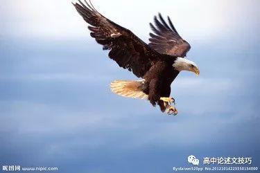 一篇另类的满分作文