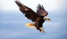 一篇另类的满分作文