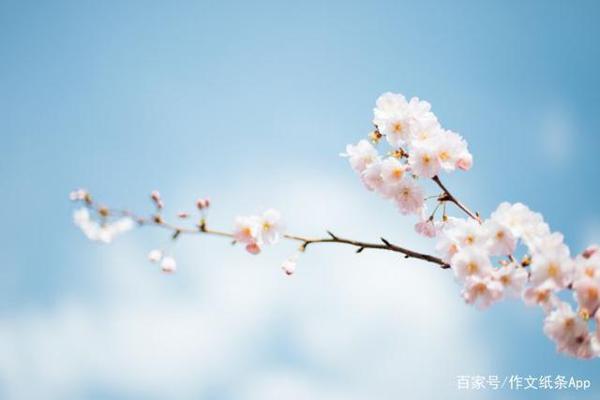 阅卷老师精心总结!2020最新语文高考满分作文万能句子模板合集 4