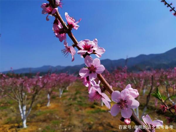 高考作文辅导15:变的是方法,不变的是初心