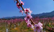 高考作文辅导15：变的是方法，不变的是初心