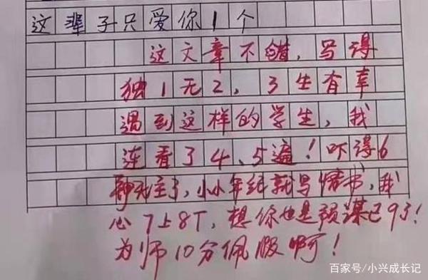 孩子用1到10写出绝妙作文,老师评语更厉害,网友:姜还是老的辣 4