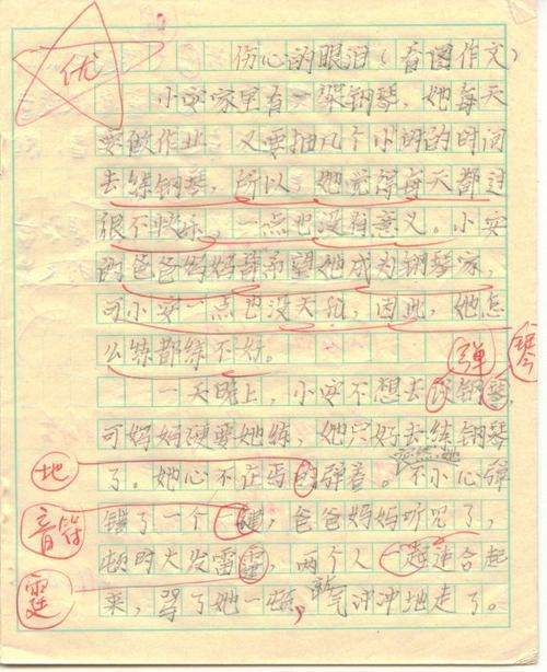 记春雨游园-写景的作文600字