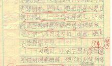 记春雨游园-写景的作文600字