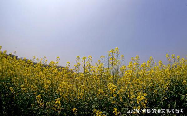 高考作文辅导13：朴素，别样的美