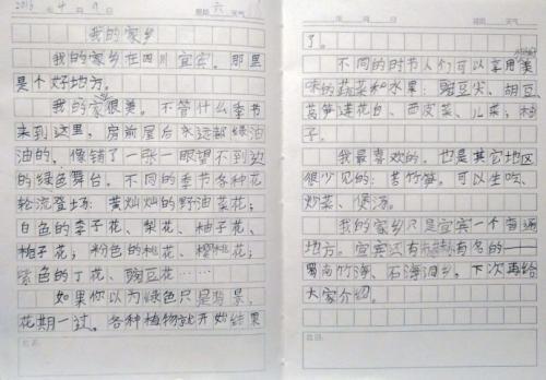我的家乡 初中家乡的作文500字