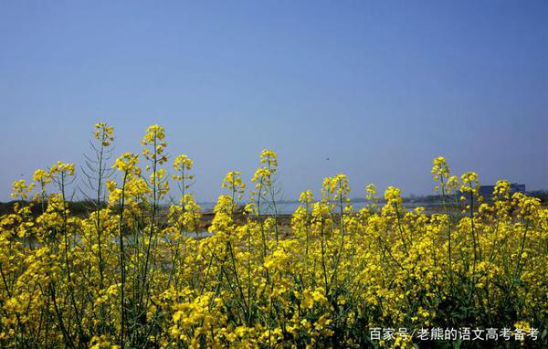 高考作文辅导13：朴素，别样的美 2