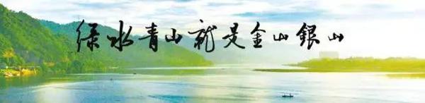 绿水青山就是金山银山 初中关于家乡的作文500字