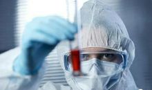 【原创作文】未闻花名，但爱其芬芳