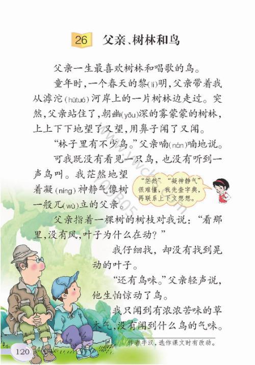 中学生作文无味的饮料