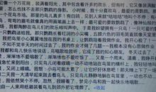 合作办报 合作的力量500字作文