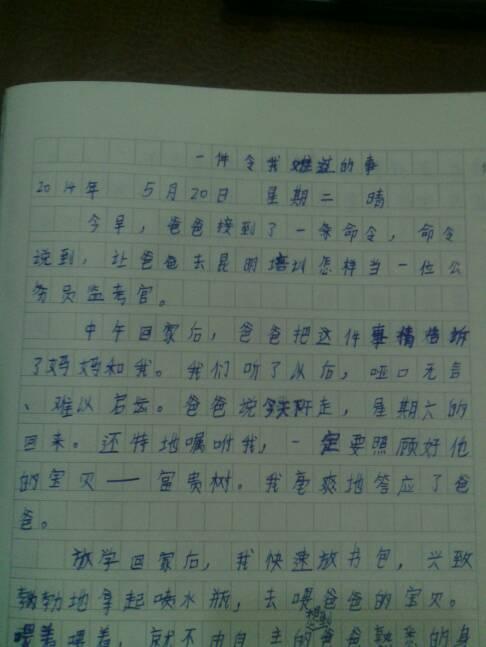 后悔的一件事 写事的作文300字