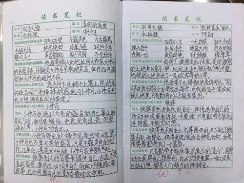 领略小说的风采 初中读后感700字