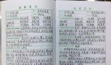 领略小说的风采 初中读后感700字