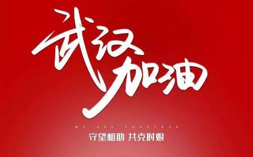 中国加油 抗击疫情作文700字