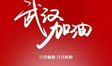 中国加油 抗击疫情作文700字