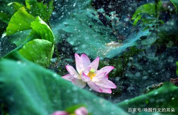 写作文变成了一件快乐的事,钱穆老先生做到了 3