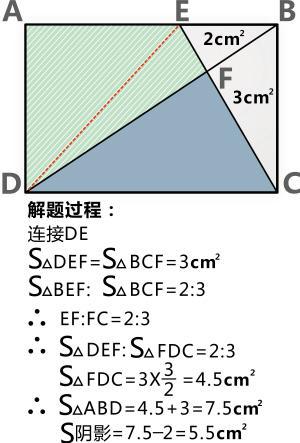 “疫”线面孔读后感｜浙大附小五（5）班赵心蕾：待春暖花开时