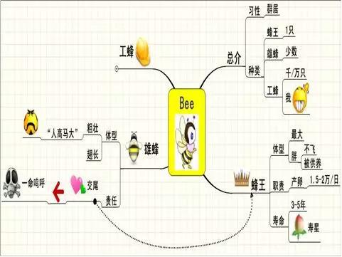 思维导图作文 29
