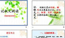 我和小鸟的故事(一) 三年级记叙文300字