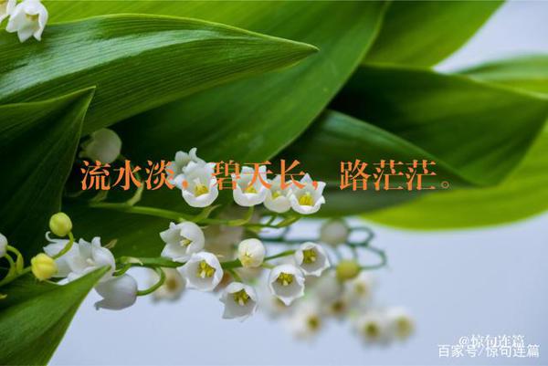深圳今天开学了,作文如何写景状物,晏殊这首词堪称典范 1