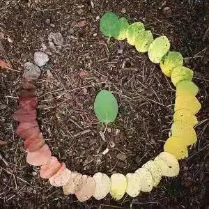 《最好的告别》读后感