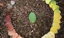 《最好的告别》读后感