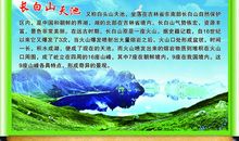 美丽的长白山天池 四年级旅游作文500字