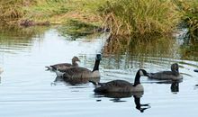 小学生作文｜春来了，湿润的空气扑鼻而来！