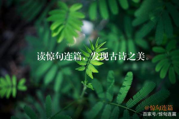 深圳今天开学了,作文如何写景状物,晏殊这首词堪称典范 2