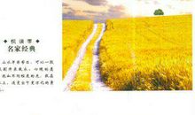 2020《万水千山走遍》读书笔记